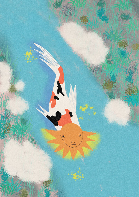 Koi Sun