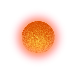 sun and flowers